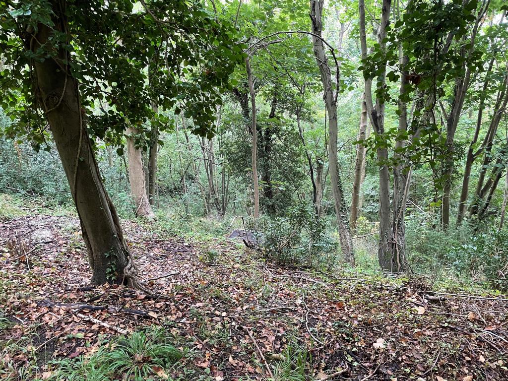 Lot: 121 - FORMER RESERVOIR AND PUMPING STATION WITH WOODLAND - 